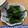 y1123♡'s cooksnap of when they made 簡単！ほうれん草のお浸し.