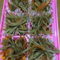 youすずニャン's cooksnap of when they made ＊きんぴらごぼう☆お弁当用冷凍保存＊.