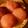 alluret's cooksnap of when they made りんごのコンポートのチーズタルト.