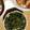 るなりーふぃ's cooksnap of when they made ほうれん草のごま和え.