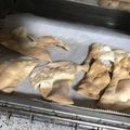 マリアマリママ's cooksnap of when they made オーブントースターで餃子の皮のクラッカー.