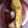akilala's cooksnap of when they made 鮭カマ（あら）で自家製西京漬け.