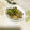 すこっとじょぷりん's cooksnap of when they made 長ネギ おつまみ.
