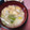土屋はちまき's cooksnap of when they made えのきと長ネギと油あげのお味噌汁.