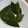 sawararara's cooksnap of when they made お手製ローリエ.