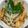 pokopapa's cooksnap of when they made ポン酢で！食感お揚げのもやしスプラウツ.