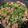☆あんこドーナツ☆'s cooksnap of when they made ご飯がすすむ！　簡単♪ニラ玉ミンチ炒め.