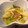 ☆みえぽんぽこりん☆'s cooksnap of when they made お箸が止まらない♡セロリのゆず胡椒ナムル.