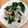 まんむりん's cooksnap of when they made 法蓮草と白菜のホットサラダ(旨だれかけ).