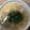 かおり♡♡♡'s cooksnap of when they made 白だし雑炊.