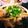 青眼鏡。's cooksnap of when they made 子供も喜ぶ焼肉丼.