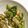 ゆ〜ぴゆ〜ぴ's cooksnap of when they made 節分に！小松菜の大豆和え.