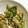 ゆ〜ぴゆ〜ぴ's cooksnap of when they made 節分に！小松菜の大豆和え.