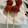 ★みーちゃんママ★'s cooksnap of when they made トマトあめ.