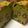 ウキ445's cooksnap of when they made 大人の味＊黒豆と抹茶のパウンドケーキ.