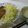 tfmagician's cooksnap of when they made 豆腐ハンバーグ.