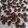 kazooco's cooksnap of when they made お節の黒豆を⭐炒り黒豆.