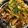 まき56☆'s cooksnap of when they made 豚ロースの甘辛生姜焼き♪.