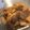 sakuhim's cooksnap of when they made ハヤトウリとコンニャクの炒め煮.