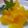 natsuholy's cooksnap of when they made つぶつぶ☆蜜柑グミ.