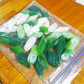 ちえたろう's cooksnap of when they made よ～く使う☆ネギの保存方法 ❮冷凍❯.