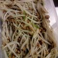 のりこったん's cooksnap of when they made おつまみ副菜に*納豆ともやしのナムル.