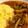 クックE2YV54☆'s cooksnap of when they made チキンのトマトクリームシチュー.