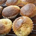 低カロ探検隊's cooksnap of when they made 栗きんとん→マロンケーキ.