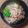 nosso's cooksnap of when they made 菜の花納豆のせ.