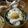 ガメコ's cooksnap of when they made 朝食♪昼食♫夜食☆えごま油で目玉焼き丼♡.