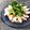 misatona's cooksnap of when they made タコの簡単おしゃれカルパッチョ。.
