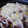 あみごっち's cooksnap of when they made ホットプレートピザ.