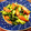 あーこ姐's cooksnap of when they made 小松菜とウインナーのオイスター炒め.