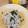 チーコ105's cooksnap of when they made もやしとワカメの中華和え.