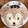happy328's cooksnap of when they made シェリーメイ 立体ケーキ.