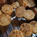 nonkomomo's cooksnap of when they made レンコンの挽肉はさみ揚げ.