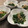♡てるてる♡'s cooksnap of when they made ちりめん♪削り節♪ほうれん草♪.