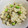 ☆キノコさん☆'s cooksnap of when they made 貧血予防！あさりと枝豆の炊き込みご飯.