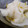 ゆ・ふママ's cooksnap of when they made ゆず★大根〜★.