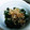 クックTAY0GD☆'s cooksnap of when they made ほうれん草の美味しいおひたし.