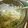 かすてら１２'s cooksnap of when they made たまごとカニカマで☆水菜サラダ.