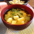 ちゃぴ♥'s cooksnap of when they made 小松菜 大根 豆腐の味噌汁♪.