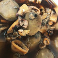 らっしー。's cooksnap of when they made 里芋とイカの煮物(旨煮)♡お袋の味.