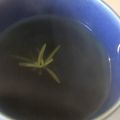 Yokchina's cooksnap of when they made 幸せな香り　ローズマリー＆生姜の紅茶.