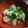 みずづいろ's cooksnap of when they made 冬瓜と手羽元のスープ（タイ風）.