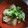 みずづいろ's cooksnap of when they made 冬瓜と手羽元のスープ（タイ風）.