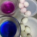 uco200AO's cooksnap of when they made ☆キャラ弁☆うずらdeカワイイ恐竜の卵☆.