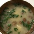 クックPW9C2T☆'s cooksnap of when they made 【超簡単】なめことお豆腐のお味噌汁.