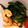 ★runa★'s cooksnap of when they made ぷりぷりエビと野菜の中華炒め.