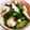 ぷーたん２５２５'s cooksnap of when they made かぶの浅漬け.